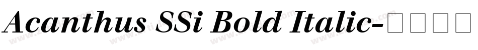 Acanthus SSi Bold Italic字体转换